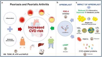 Clinical and molecular insights into cardiovascular disease in psoriatic patients and the potential protective role of apremilast